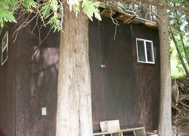 5262 Lakeview Road Gladwin, MI 48624 - Photo 23 of 31 Gallery Image 23