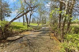 1615 River Road Williamsburg, KY 40769 - Photo 2 of 40 IMG_4093