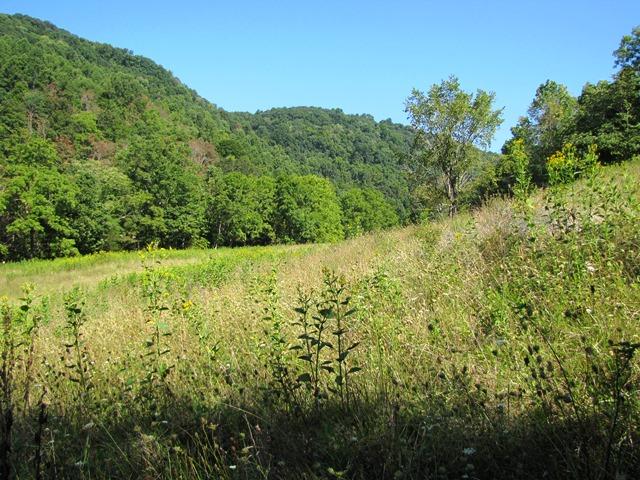 2402 Lillydale-Back Creek Road Union, WV 24983 - Photo 46 of 49 Gallery Image 46