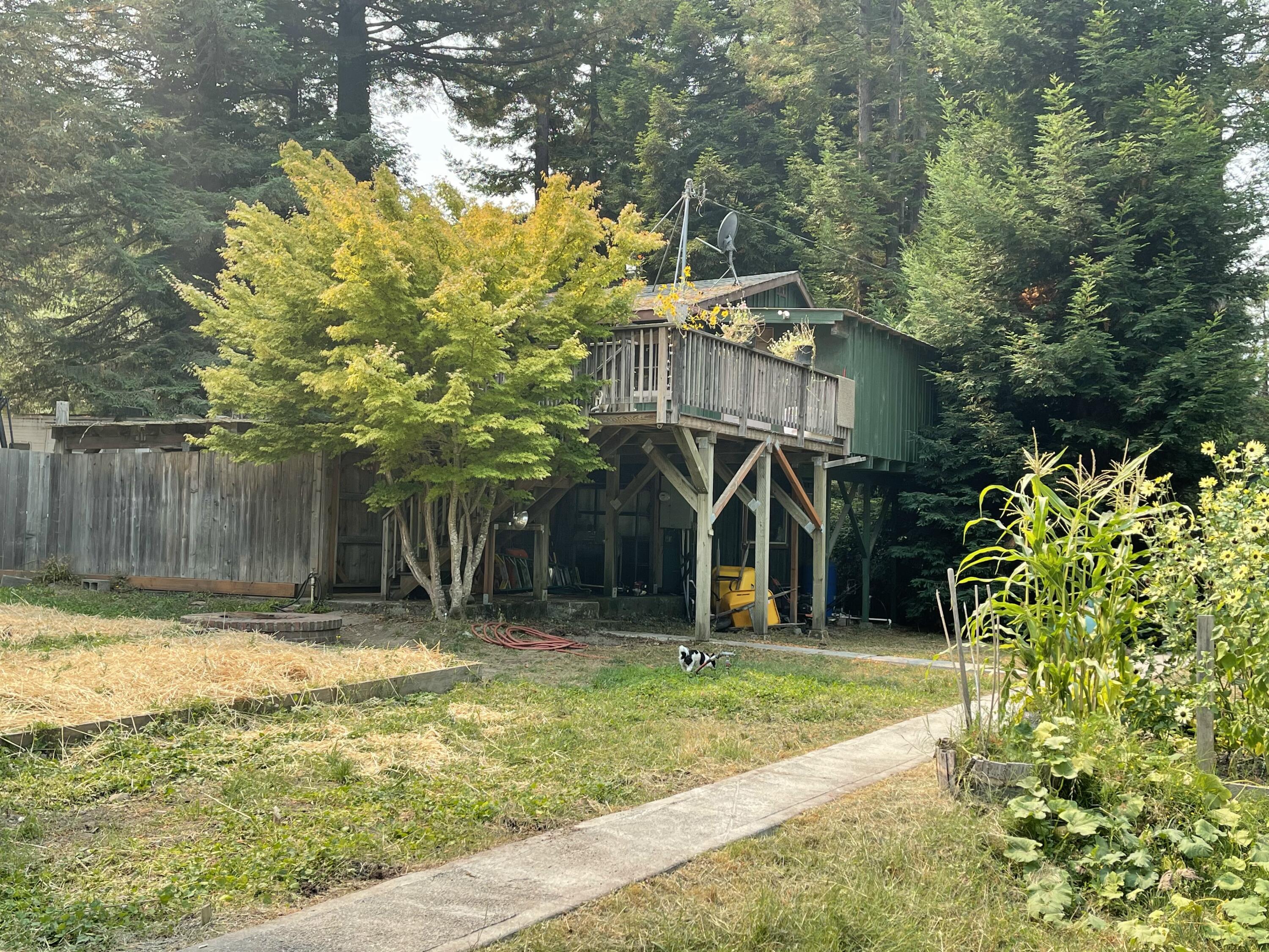 390 South Road Scotia, CA 95565 - Photo 1 of 1 Gallery Image 1