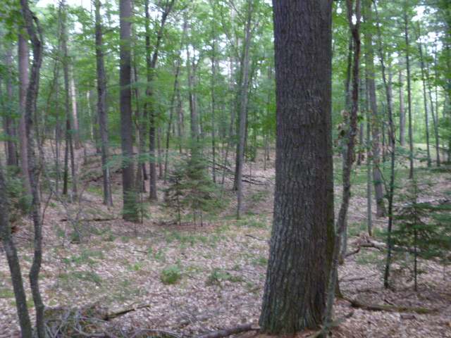 1555 Silver Lake Road, Unit ADJ TO Eagle River, WI 54521 - Photo 14 of 19 Gallery Image 14