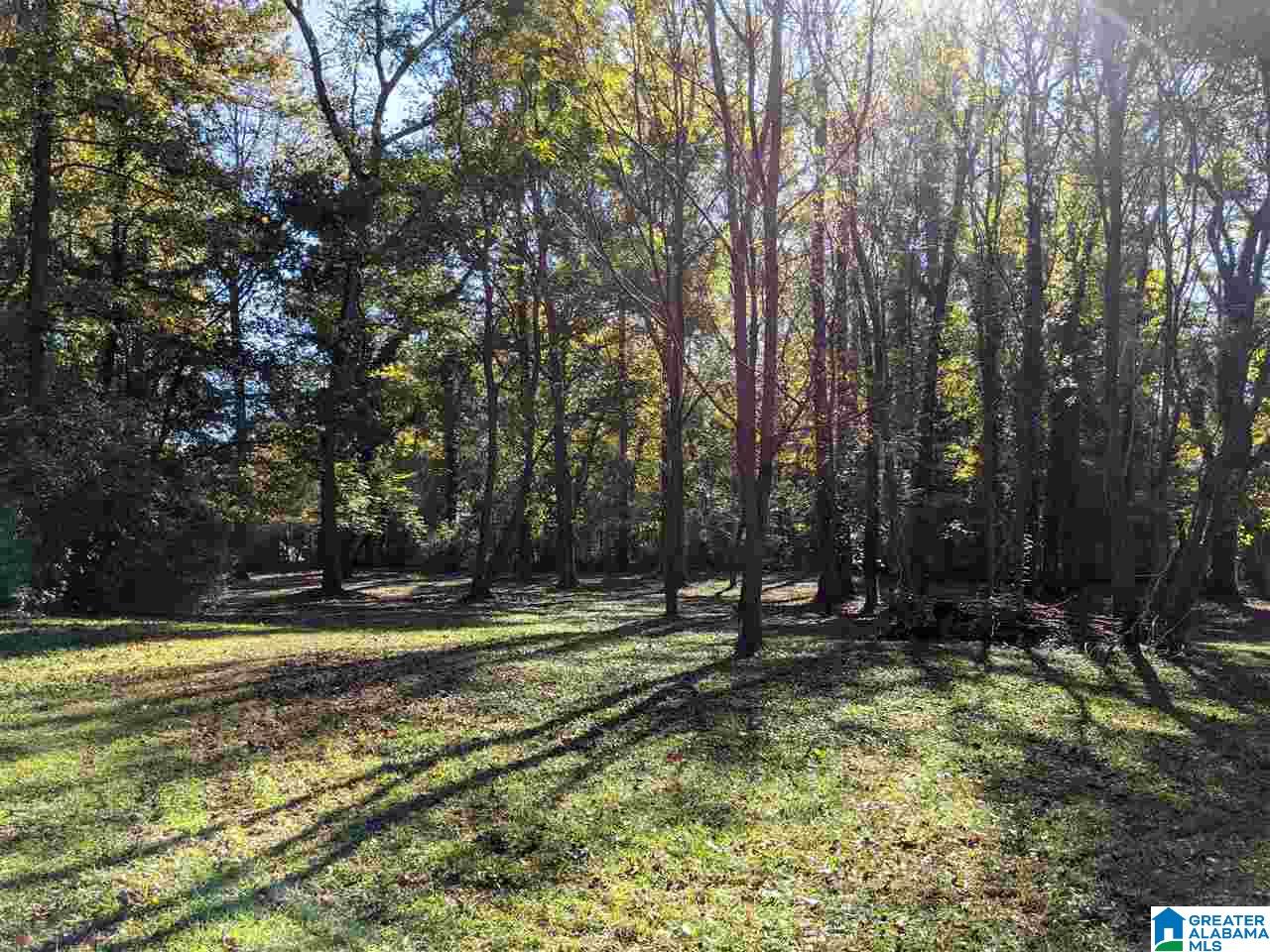 2617 Coleman Road Anniston, AL 36207 - Photo 26 of 50