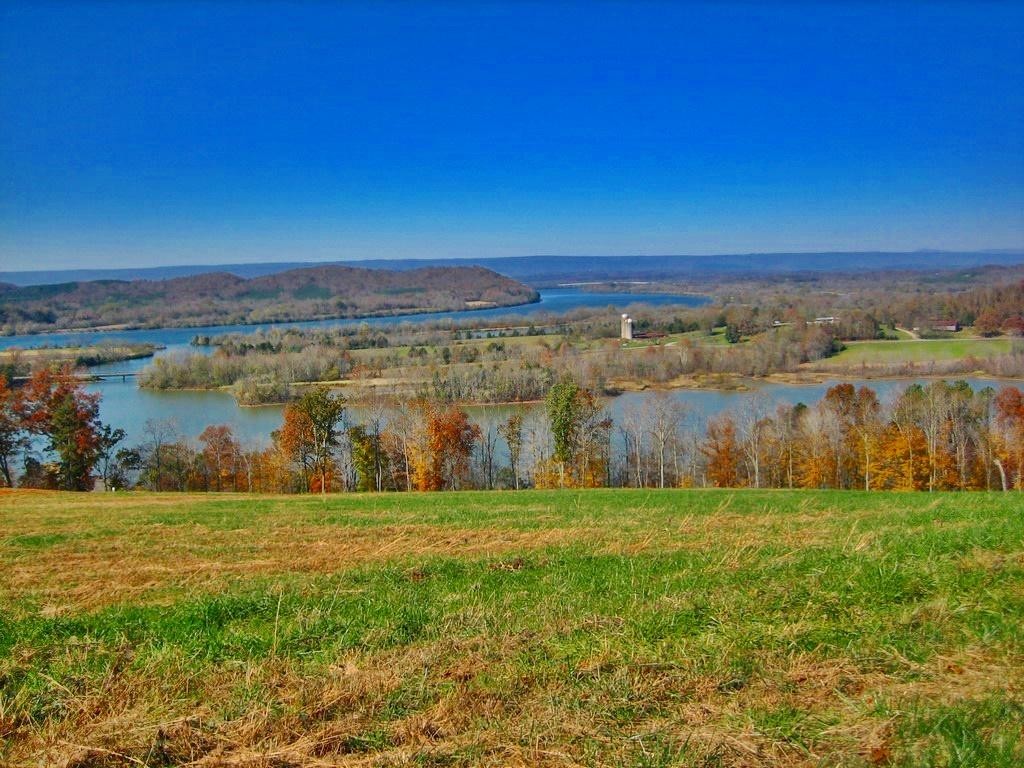 52 Mill Drive Decatur, TN 37322 - Photo 8 of 8 Gallery Image 8