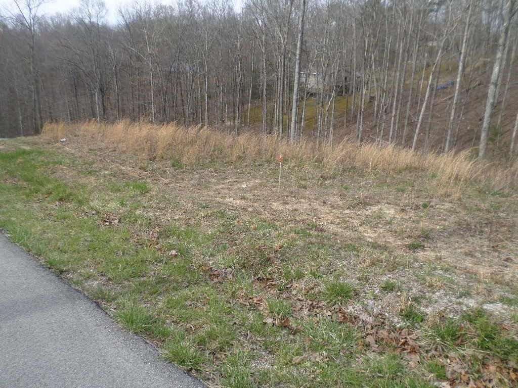 7 Pretty Ridge Wellington, KY 40387 - Photo 2 of 3 Photo 2