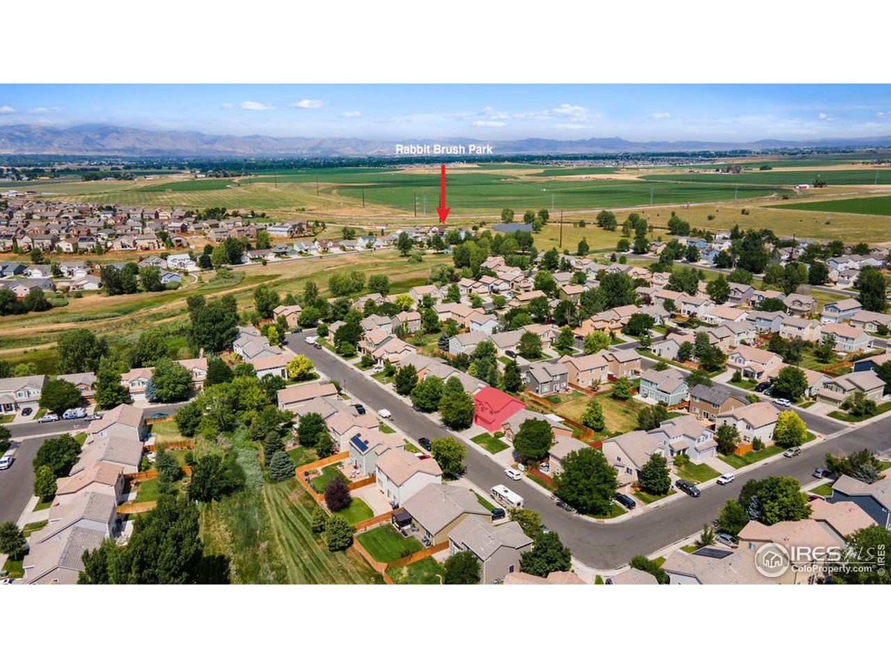 3920 Rannoch Street Fort Collins, CO 80524 - Photo 27 of 27 tons of green space, trails, and neighborhood park just steps away