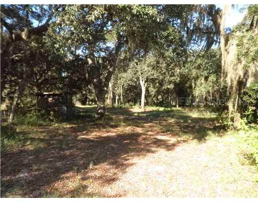 3441 Burwell Road Webster, FL 33597 - Photo 1 of 1 Land/Lot