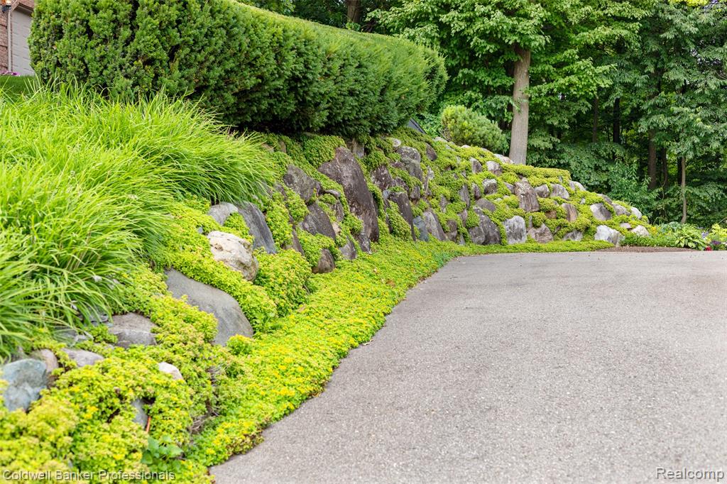 8661 Deerwood Road Clarkston, MI 48348 - Photo 9 of 82 Gallery Image 9