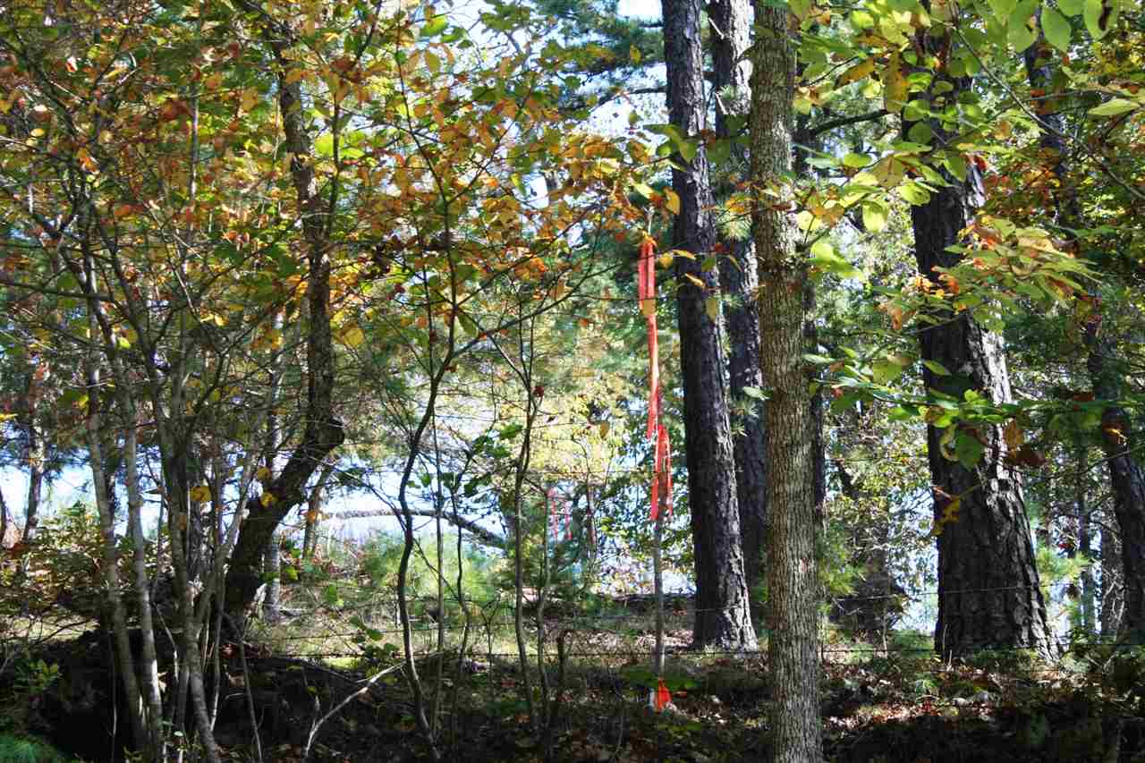 615 Davis Run Road McDowell, VA 24458 - Photo 2 of 7 Gallery Image 2