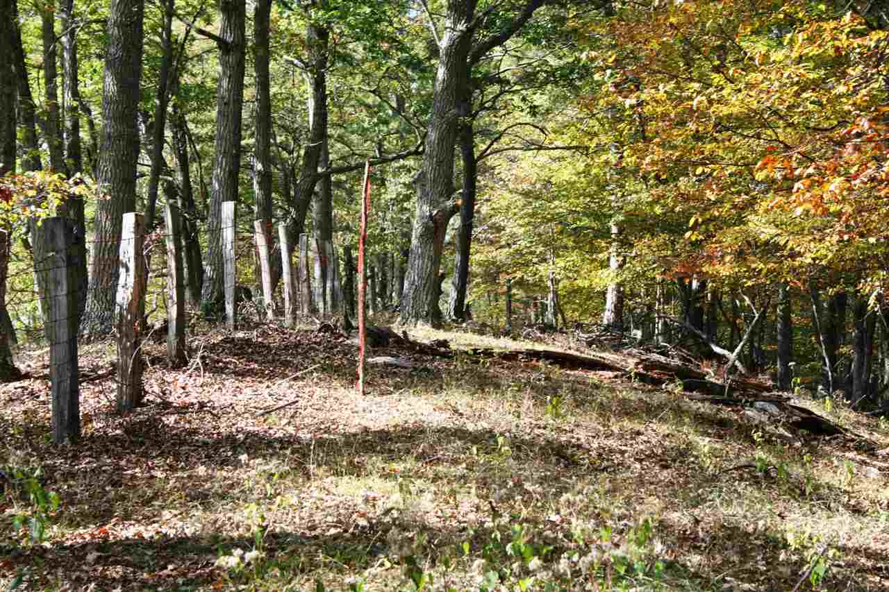 615 Davis Run Road McDowell, VA 24458 - Photo 5 of 7 Gallery Image 5
