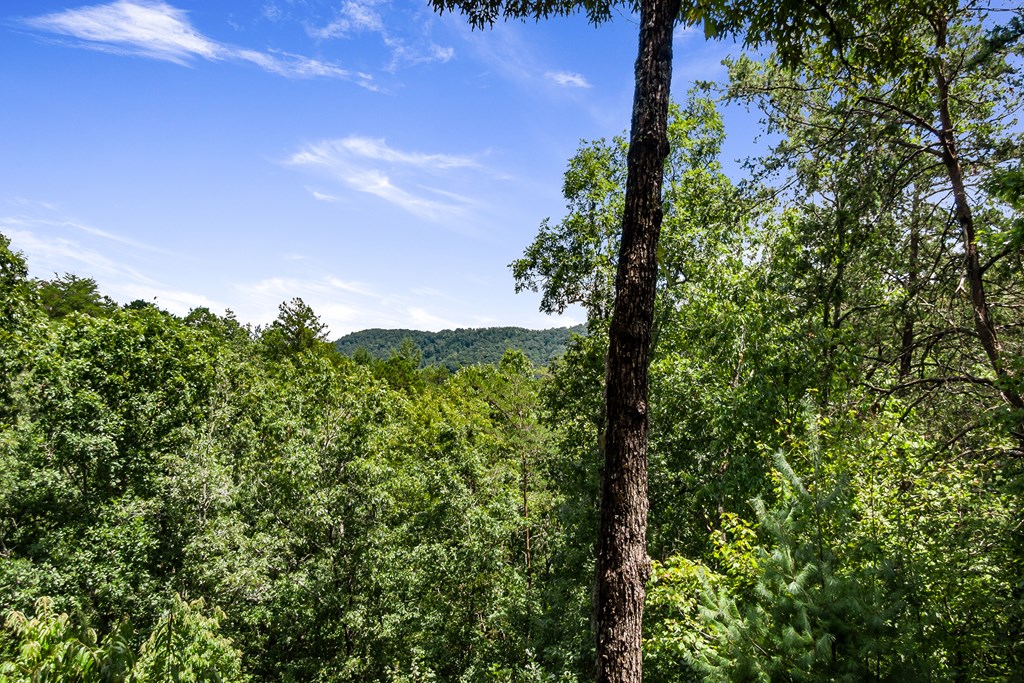539 South Dream Catcher Blue Ridge, GA 30513 - Photo 35 of 48