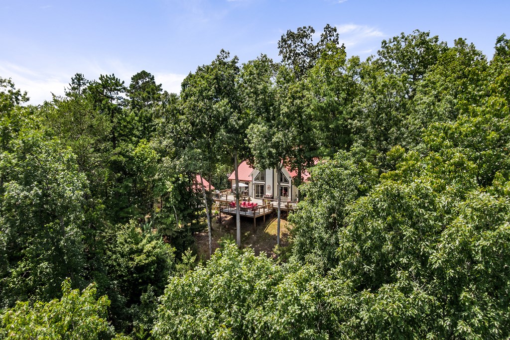 539 South Dream Catcher Blue Ridge, GA 30513 - Photo 40 of 48