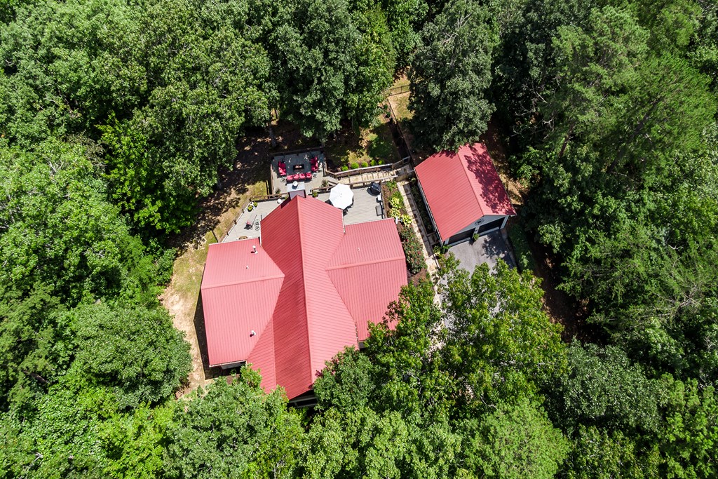 539 South Dream Catcher Blue Ridge, GA 30513 - Photo 46 of 48