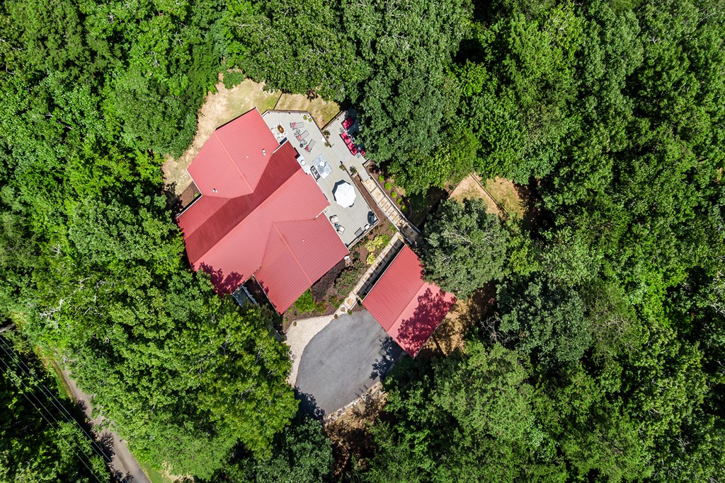 539 South Dream Catcher Blue Ridge, GA 30513 - Photo 47 of 48