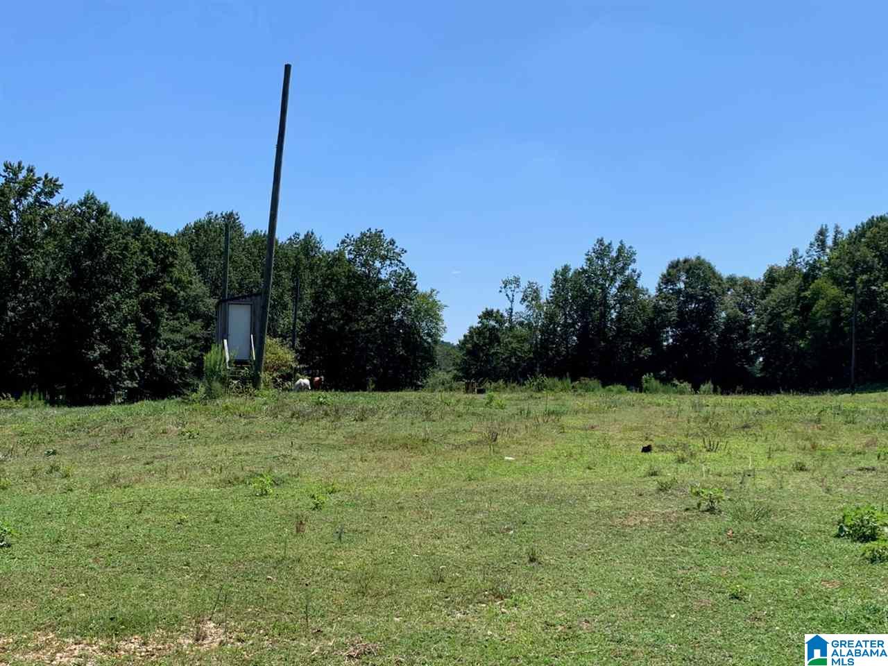 470 Mcvey Road Lineville, AL 36266 - Photo 23 of 26
