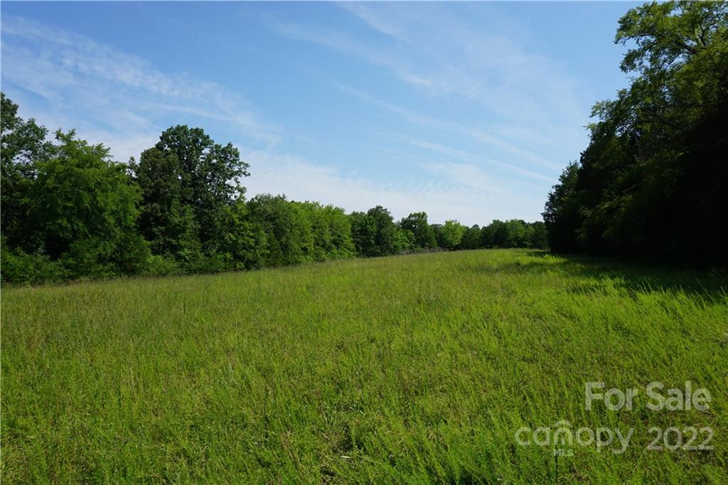 a view of a green field with wooden fence