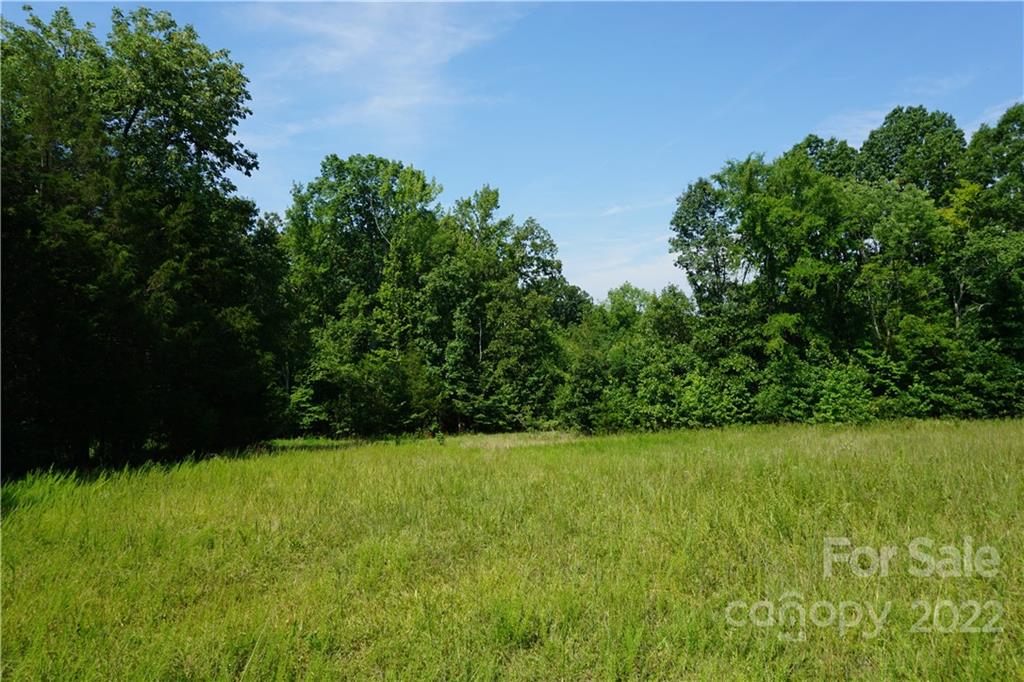 18-ac 18-ac Shillinglaw Road Sharon, SC 29742 - Photo 11 of 21 a view of yard with grass and trees