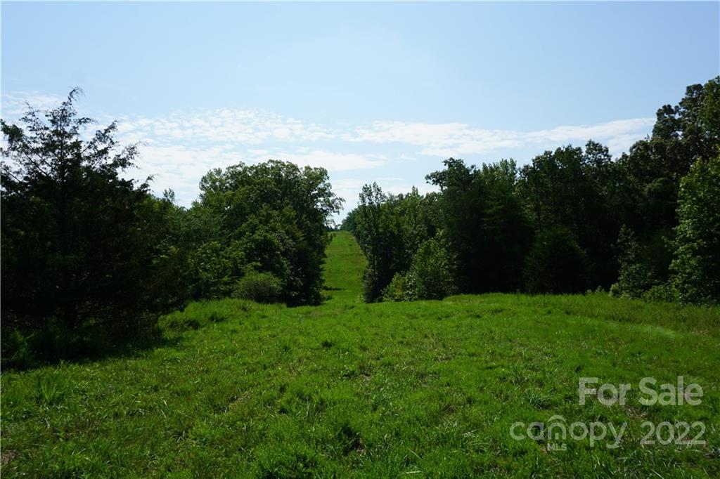 18-ac 18-ac Shillinglaw Road Sharon, SC 29742 - Photo 12 of 21 a view of a grassy field with trees