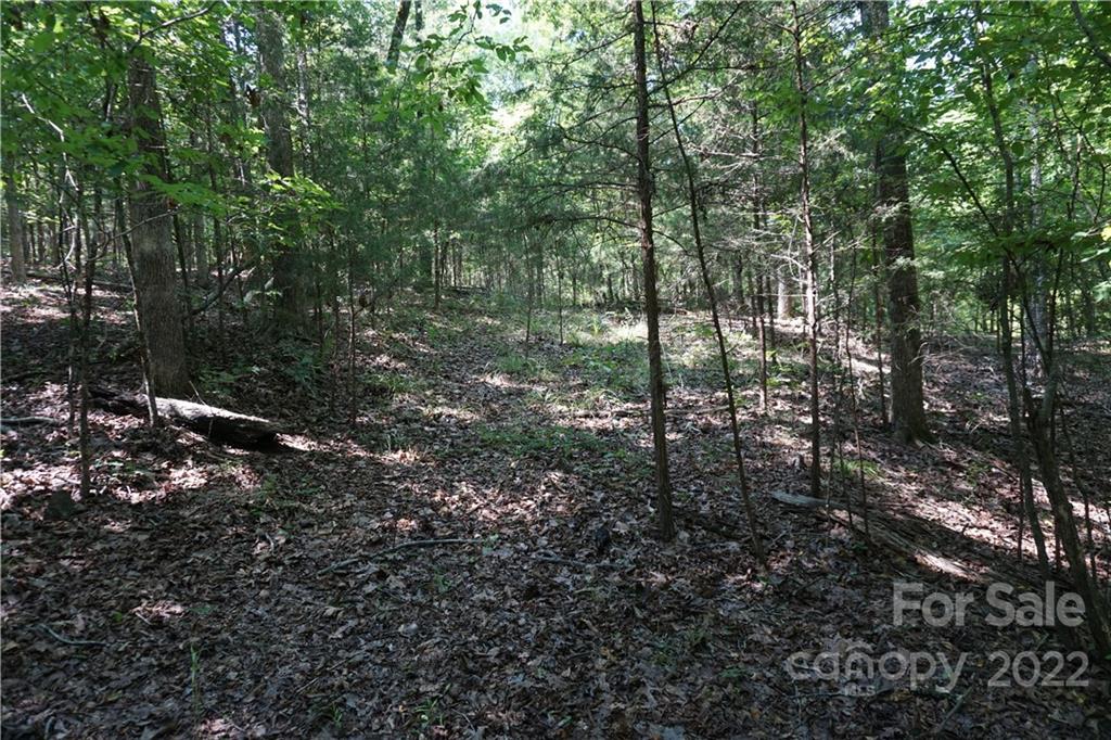 18-ac 18-ac Shillinglaw Road Sharon, SC 29742 - Photo 14 of 21 a view of forest