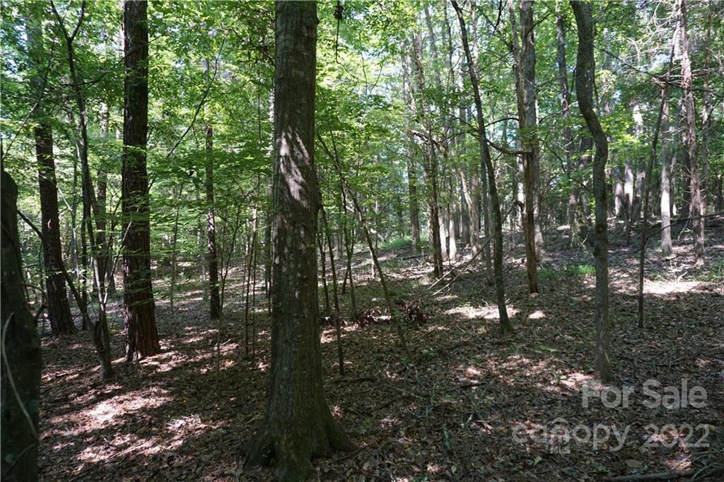 18-ac 18-ac Shillinglaw Road Sharon, SC 29742 - Photo 3 of 21