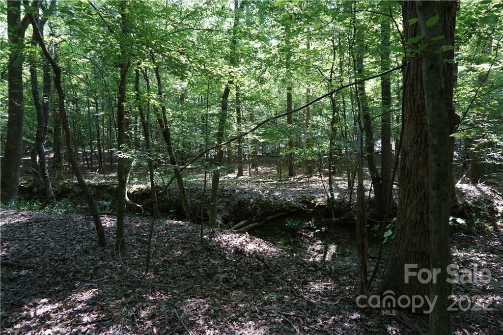 18-ac 18-ac Shillinglaw Road Sharon, SC 29742 - Photo 4 of 21 a view of outdoor space and yard
