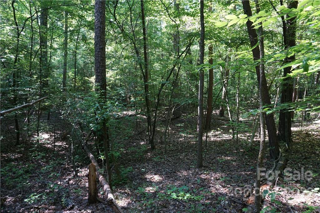 18-ac 18-ac Shillinglaw Road Sharon, SC 29742 - Photo 5 of 21 a view of forest