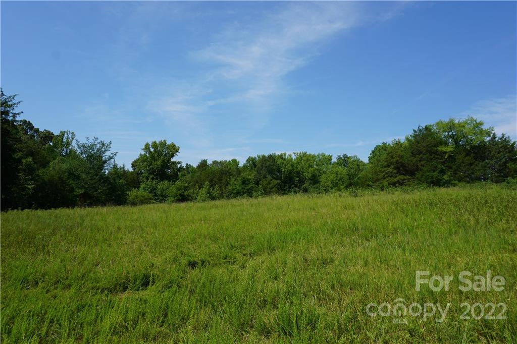 18-ac 18-ac Shillinglaw Road Sharon, SC 29742 - Photo 7 of 21 a view of field with trees in the background