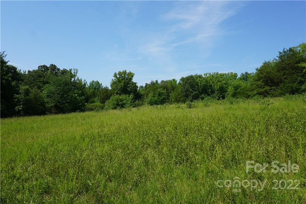 18-ac 18-ac Shillinglaw Road Sharon, SC 29742 - Photo 8 of 21 a view of a green field with plants in front of it