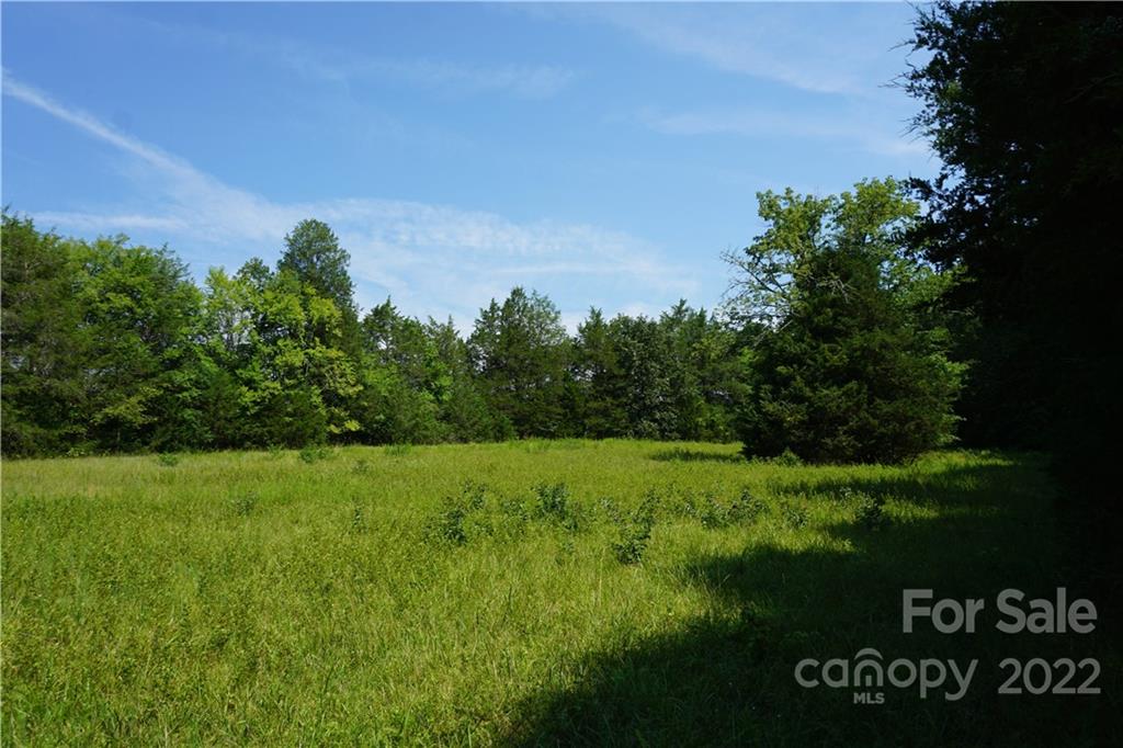 18-ac 18-ac Shillinglaw Road Sharon, SC 29742 - Photo 9 of 21 a view of grassy field with trees