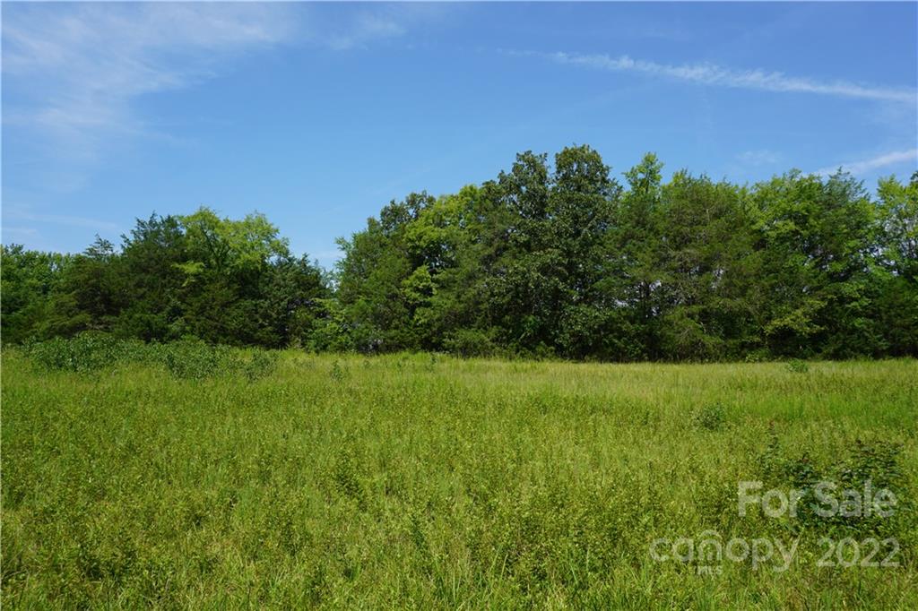 18-ac 18-ac Shillinglaw Road Sharon, SC 29742 - Photo 10 of 21 a view of yard with green space