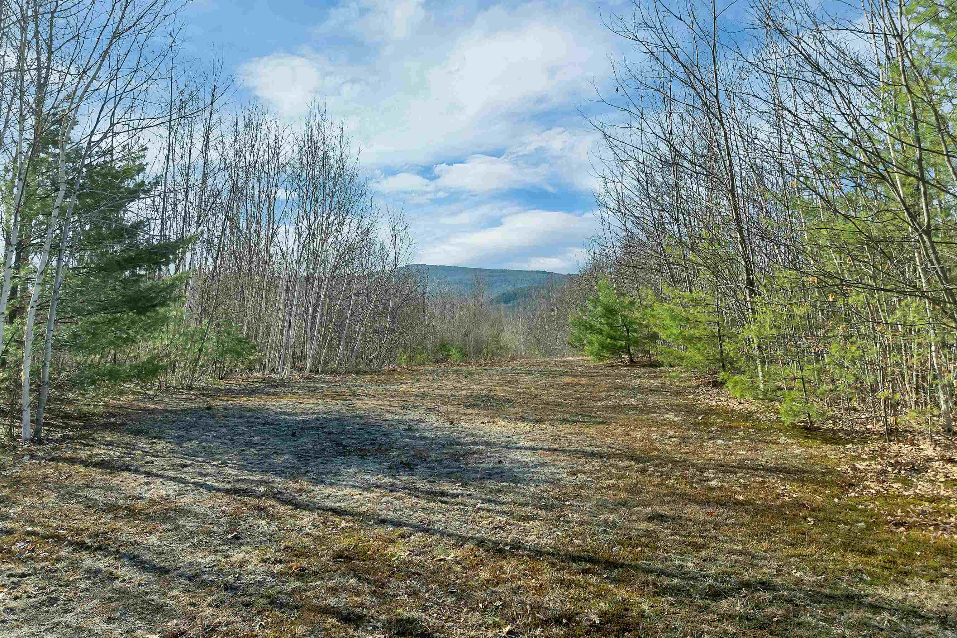 Lot 41 Oakcrest Road Bristol, NH 03222 - Photo 13 of 17