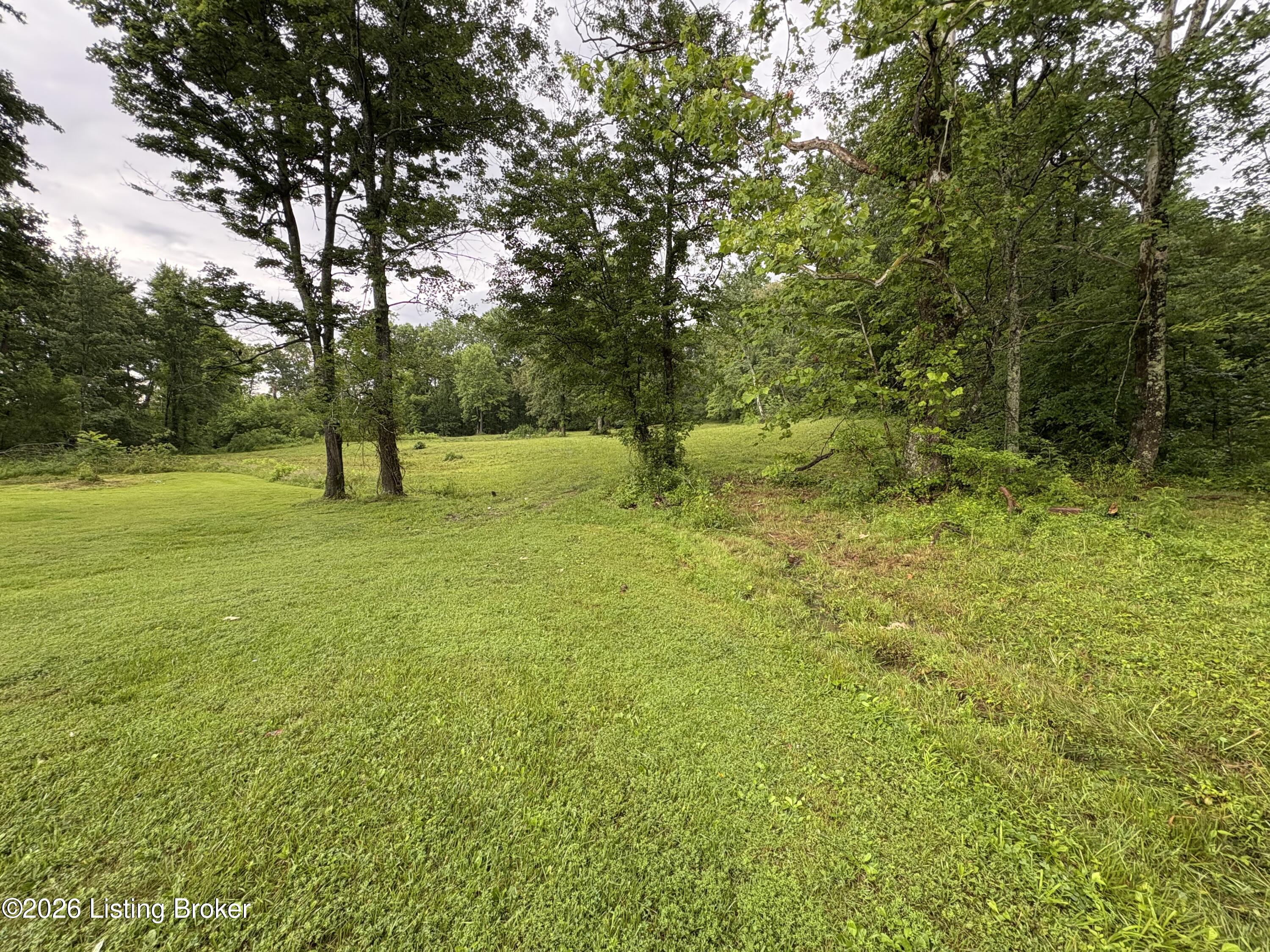 105 John Morris Road Custer, KY 40115 - Photo 23 of 26 IMG_0352