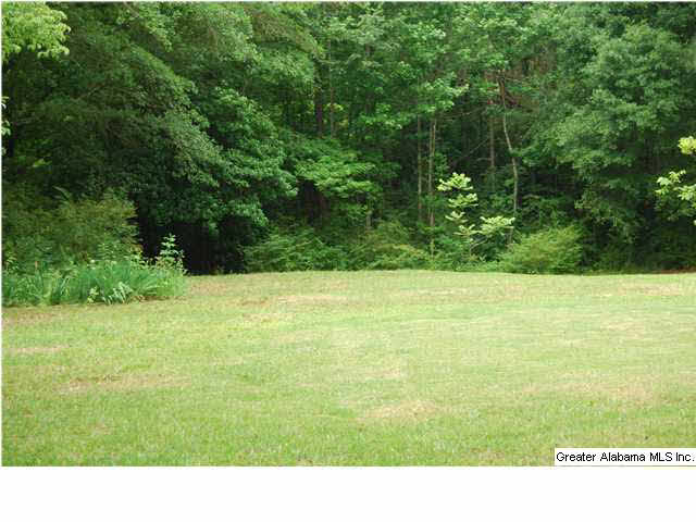 701 Truss Ferry Road Pell City, AL 35128 - Photo 18 of 18