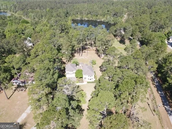 a close up of a tree