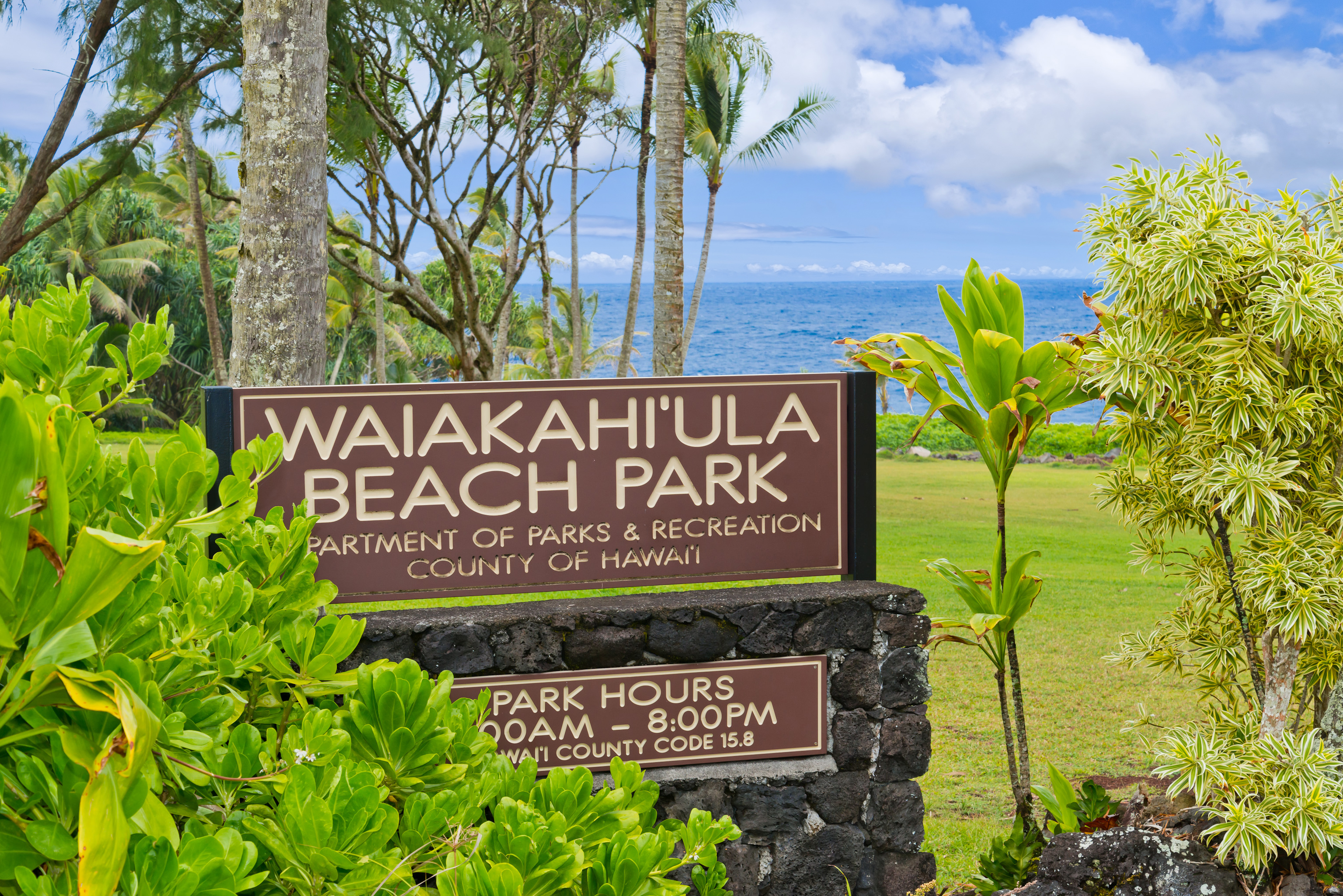 15-2753 Papio Street Pahoa, HI 96778 - Photo 28 of 29