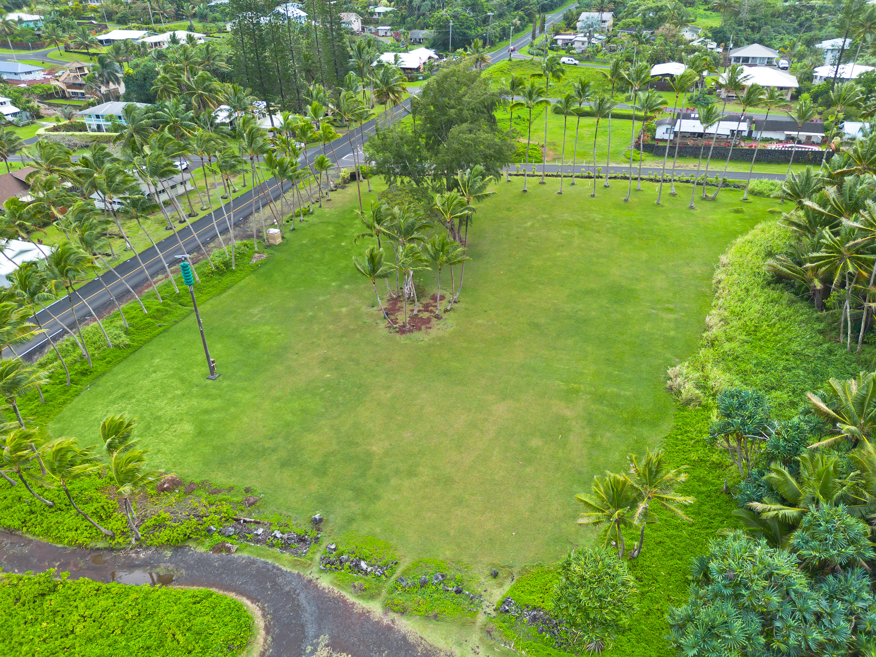 15-2753 Papio Street Pahoa, HI 96778 - Photo 6 of 29