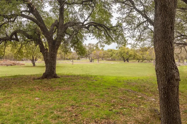 a view of a backyard with large trees