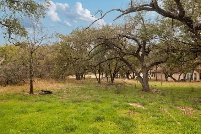 a view of yard with trees