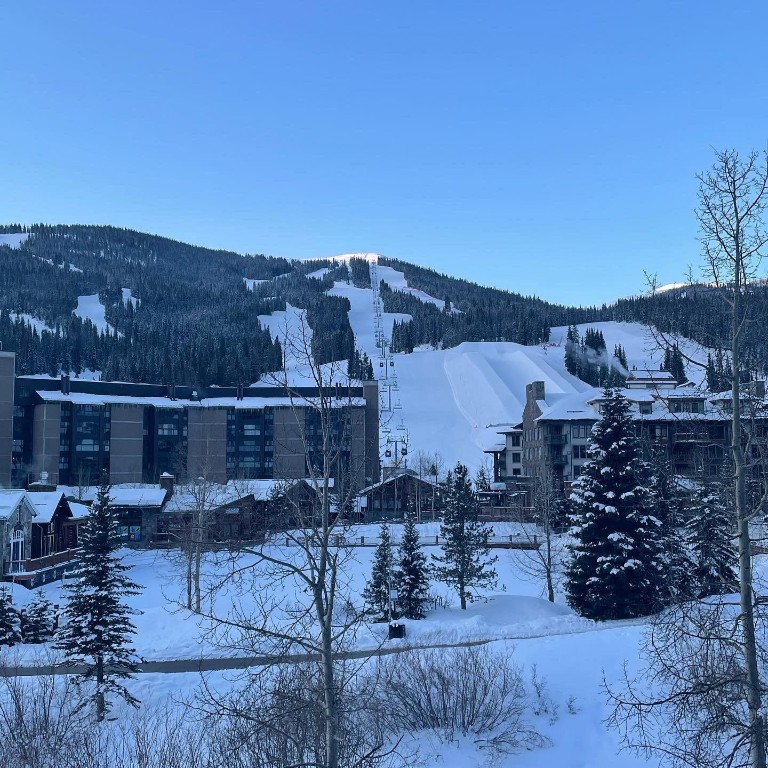 800 Copper Road, Unit 206 Copper Mountain, CO 80443 - Photo 7 of 22