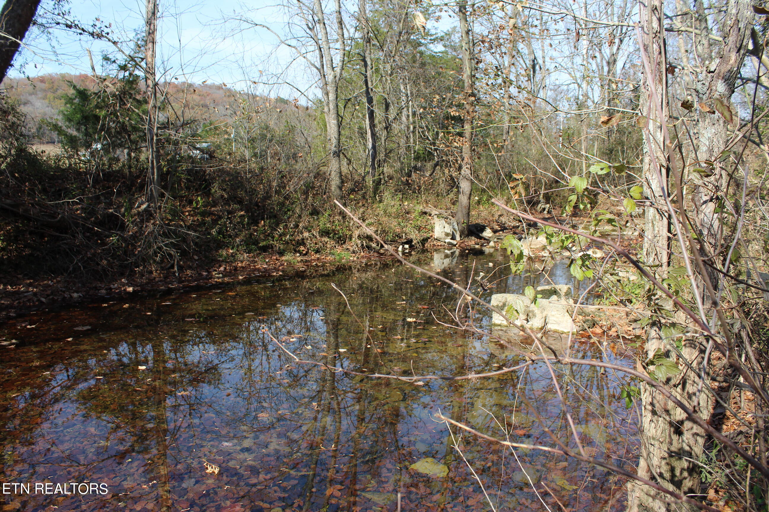 Rotten Fork Road Pall Mall, TN 38577 - Photo 17 of 24 IMG_4890