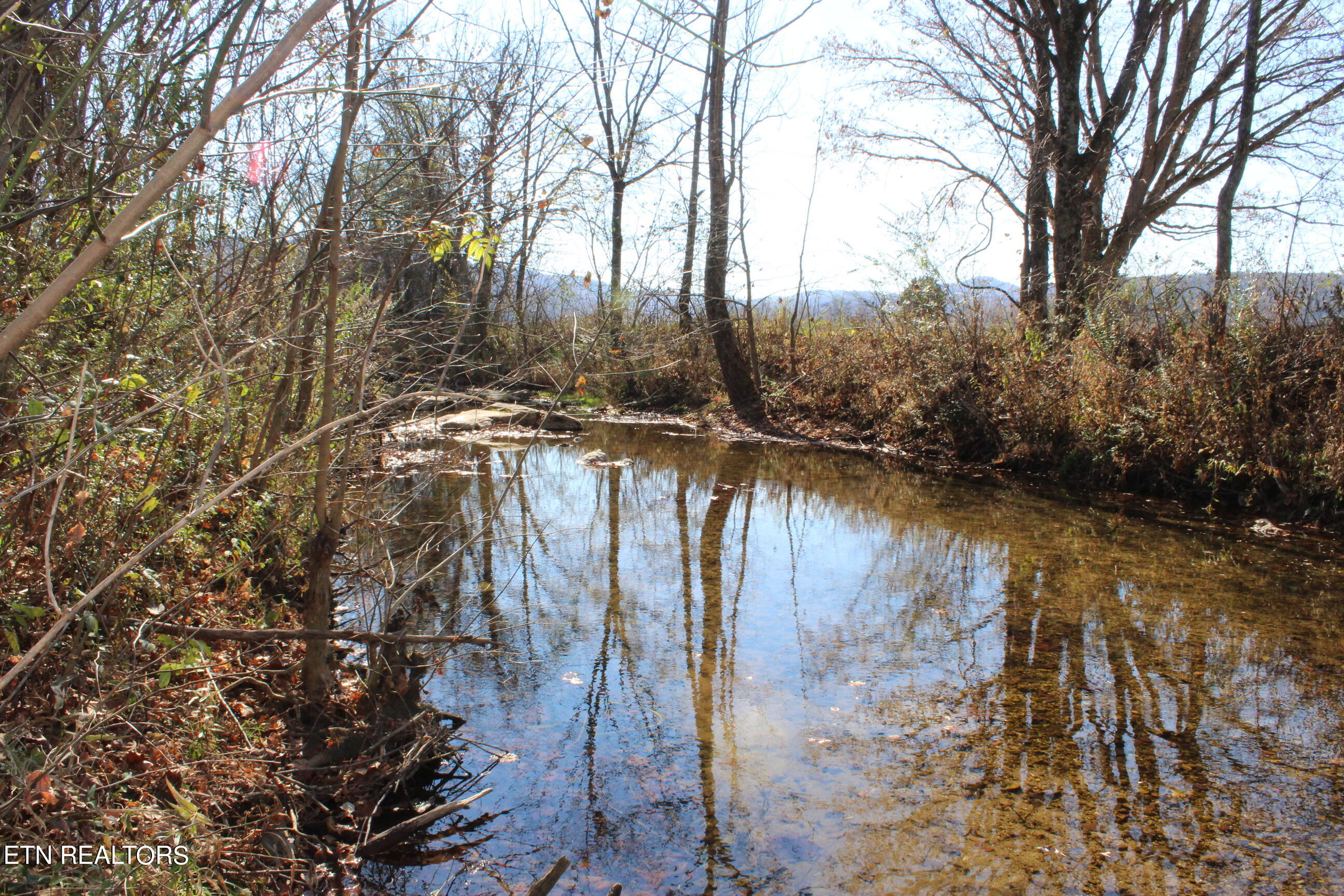 Rotten Fork Road Pall Mall, TN 38577 - Photo 18 of 24 IMG_4891