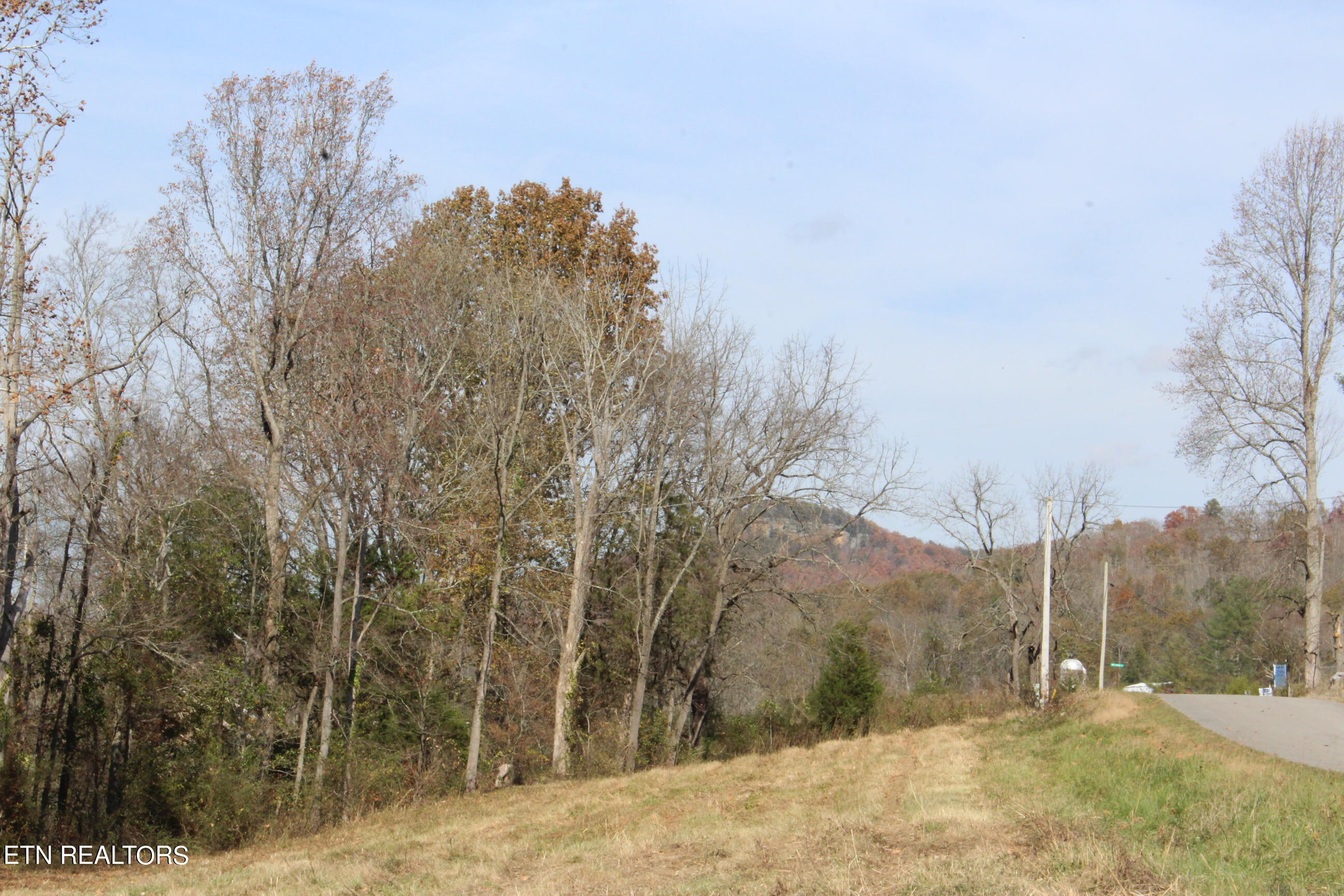 Rotten Fork Road Pall Mall, TN 38577 - Photo 7 of 24 IMG_4880