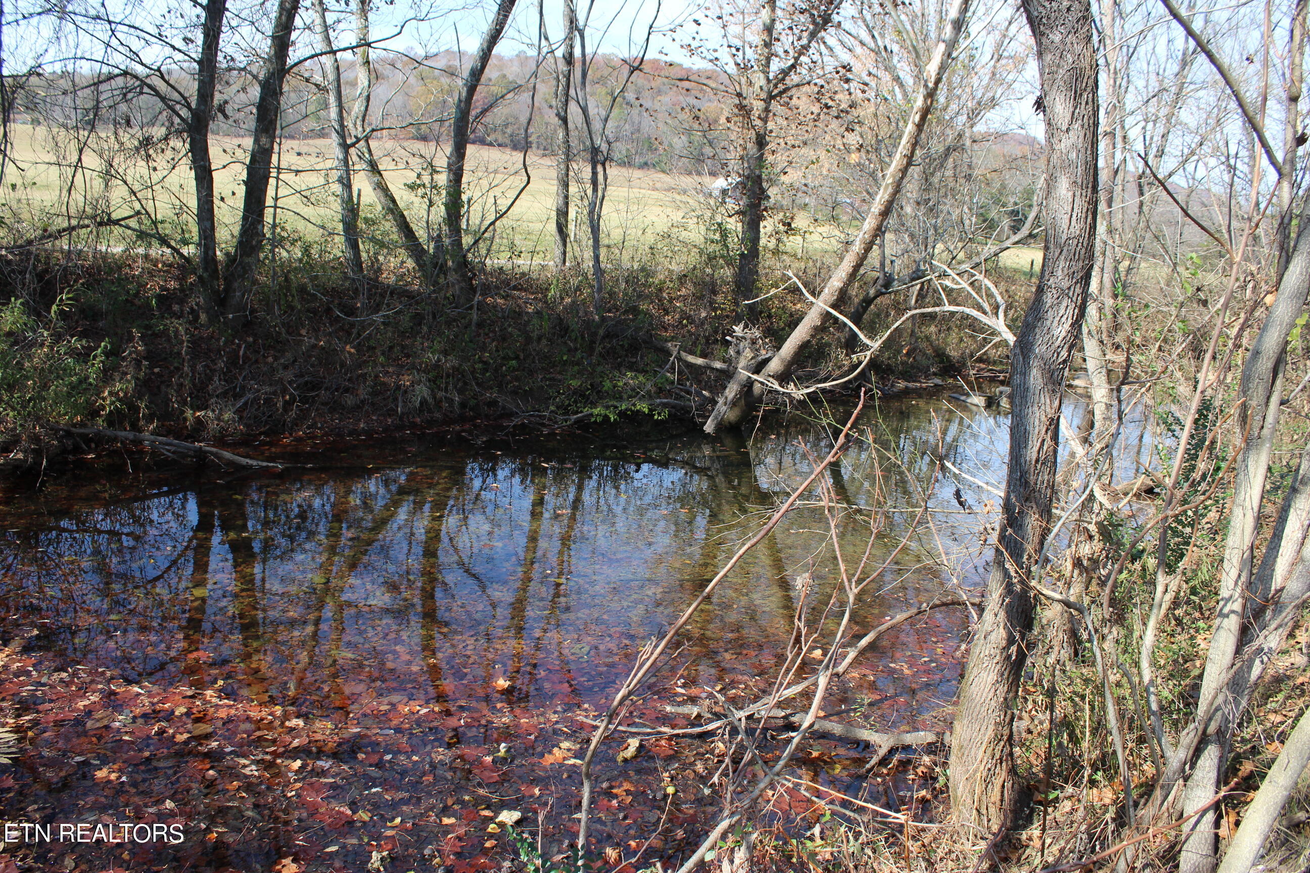 Rotten Fork Road Pall Mall, TN 38577 - Photo 8 of 24 IMG_4881