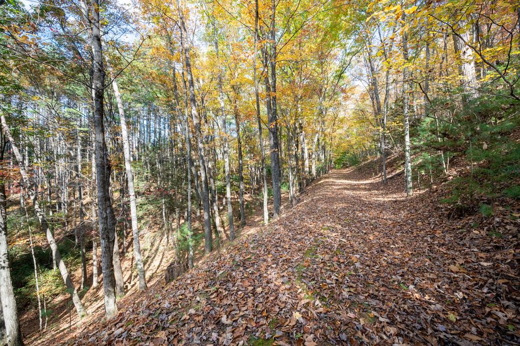 4149 Suiter Road Bastian, VA 24314 - Photo 91 of 98 Gallery Image 91