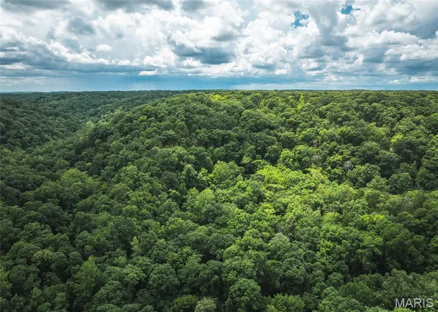 $395,000 | 585 North Skyline Drive, New Florence, MO 63363