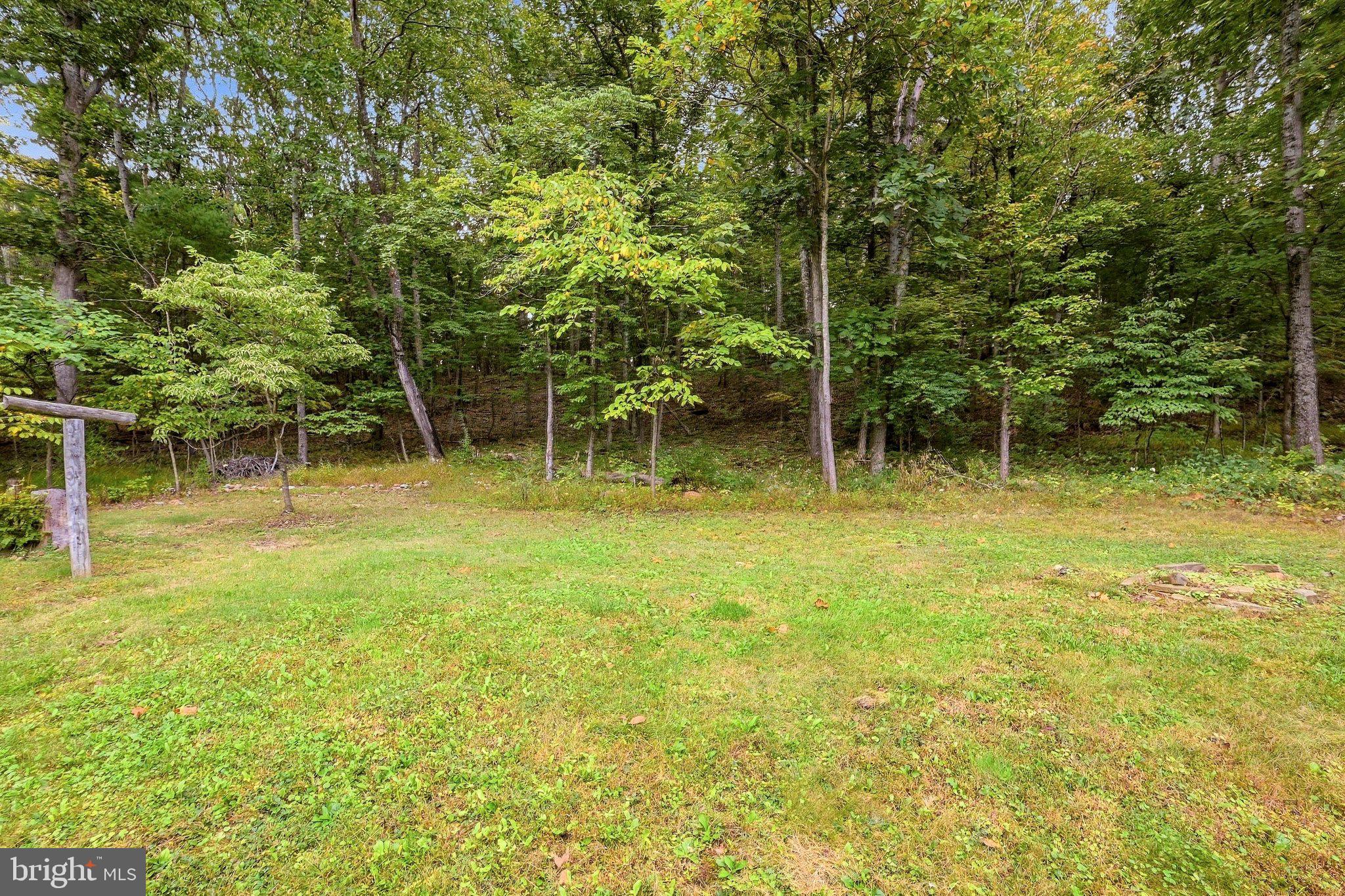 925 Christian Church Road High View, WV 26808 - Photo 39 of 55 Backyard