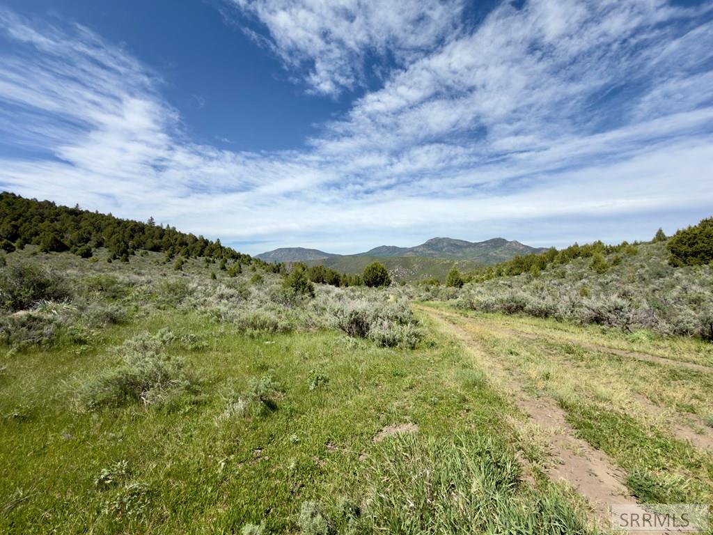 Tbd Fish Creek Road Lava Hot Springs, ID 83246 - Photo 25 of 44