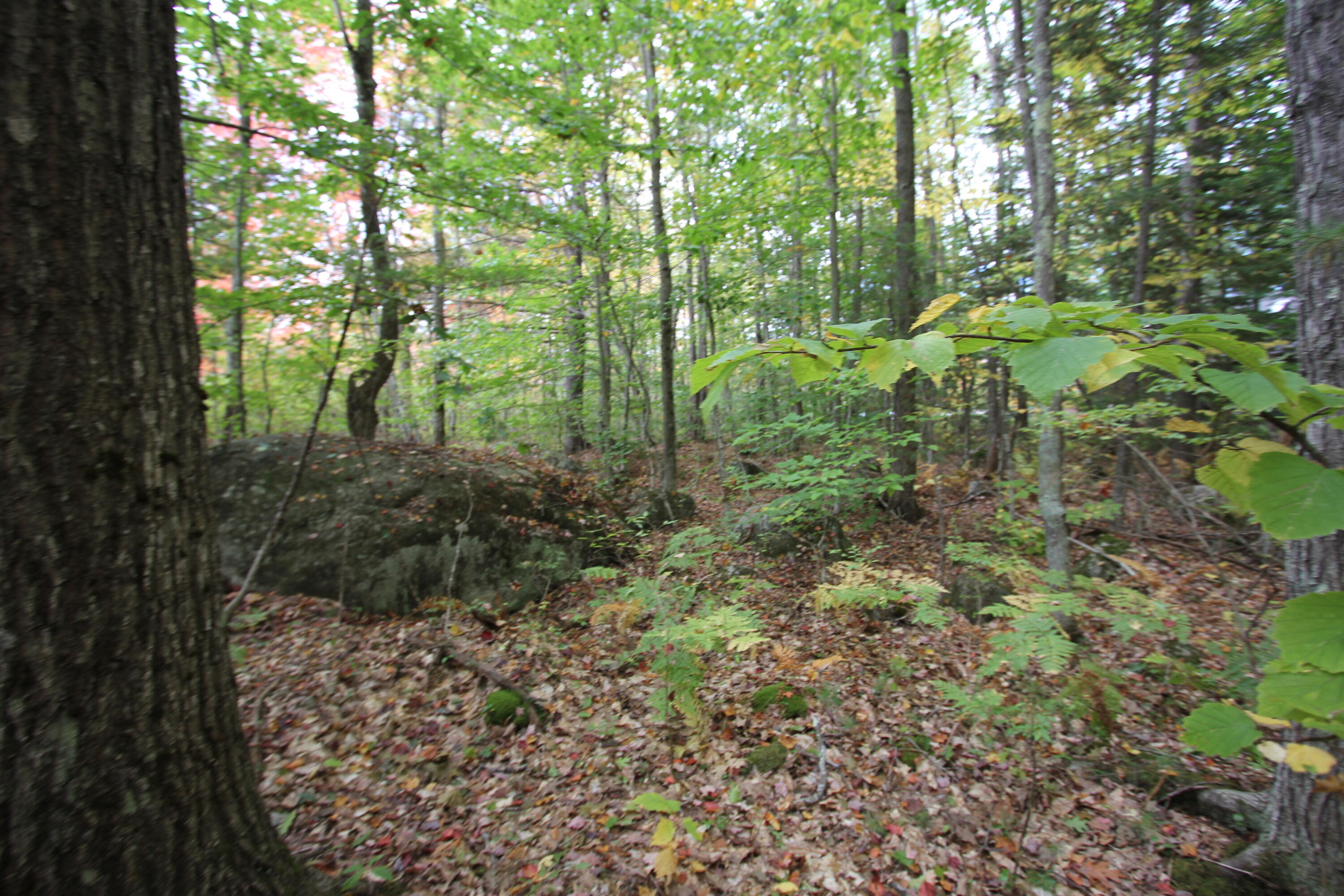Lot #6 Allen Pond Road Greene, ME 04236 - Photo 16 of 18 IMG_0265