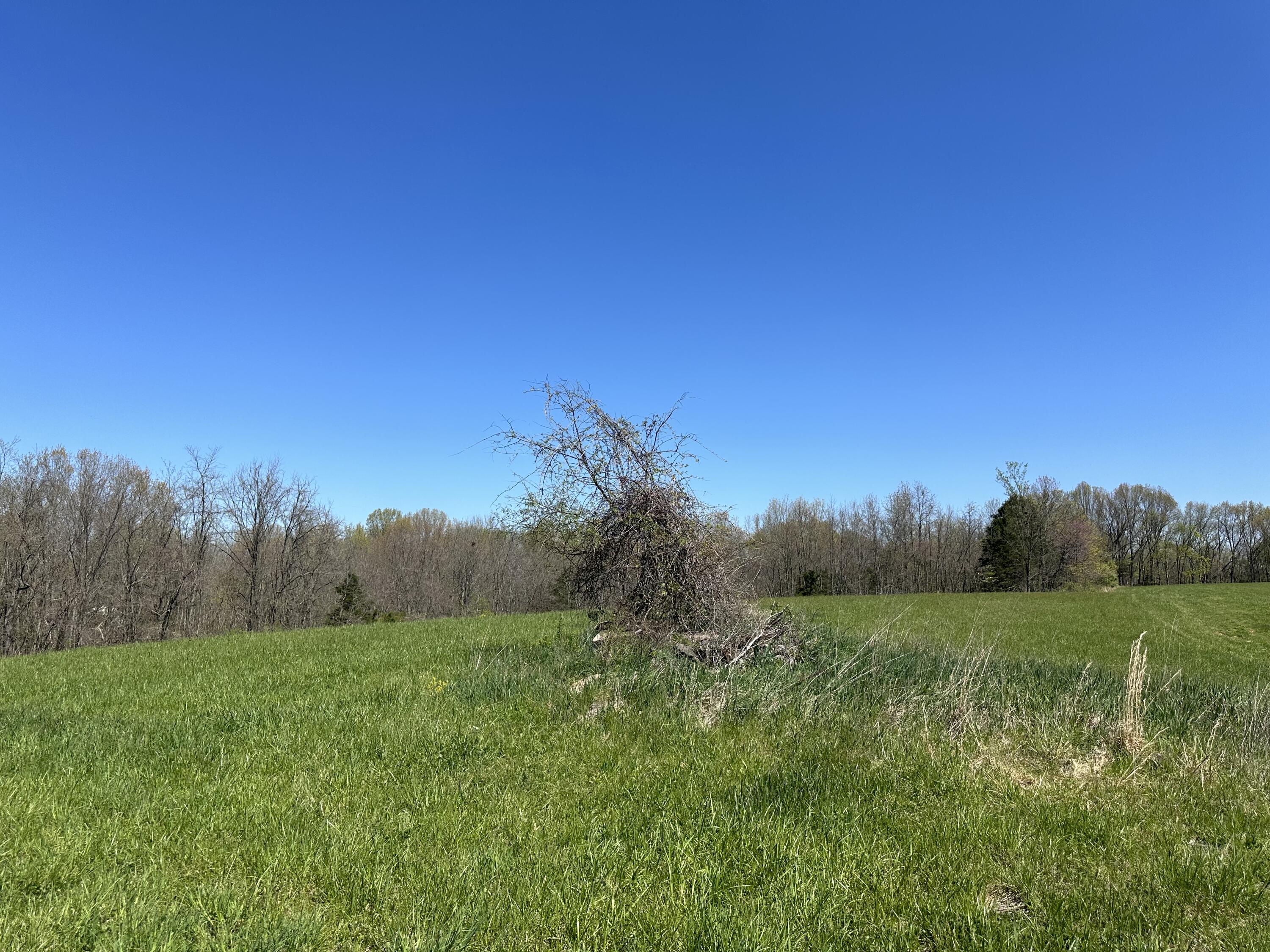 0 Leaning Oak Road Corinth, KY 41010 - Photo 10 of 13