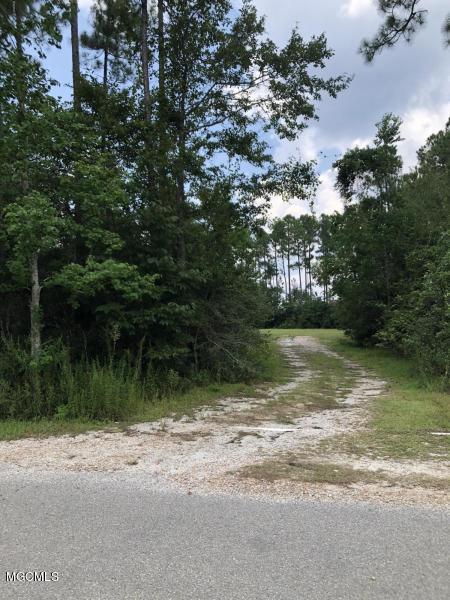 14200 Dundeewood Road Biloxi, MS 39532 - Photo 1 of 6 Driveway Entrance