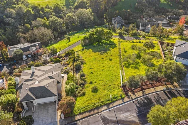 a view of swimming pool with lawn chairs and plants